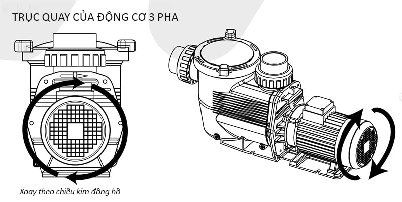 Ảnh mô hình máy bơm waterco sutapuf