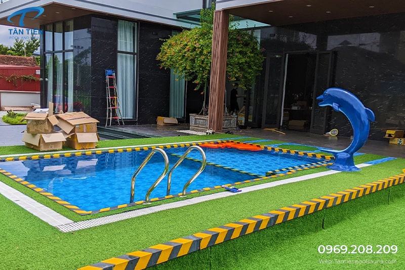 Cá heo phun nước bể bơi