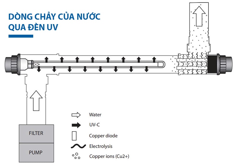 Dòng chảy của nước khi đi qua đèn diệt khuẩn UV