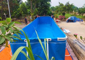 be boi bat cao cap tan tien pool anh 21 min