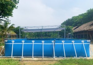 be boi bat cao cap tan tien pool anh 23 min