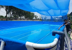 be boi bat cao cap tan tien pool anh 24 min