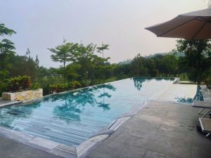 be boi chi Lien tam dao