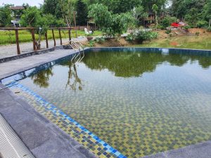 Thi công bể bơi chuyên nghiệp - Tân Tiến Pool