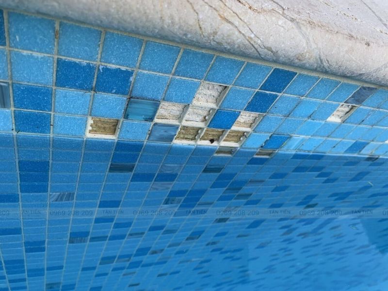 Tân Tiến Pool - Dịch vụ nâng cấp cải tạo bể bơi