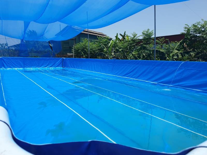 Gia công và lắp đặt bể bơi bạt theo yêu cầu - Tân Tiến Pool