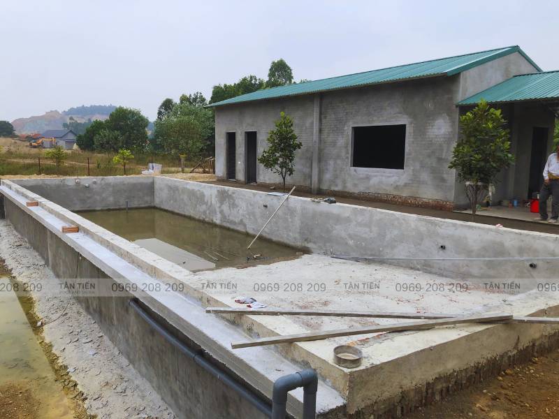 Hoàn thiện đổ bê tông bể bơi