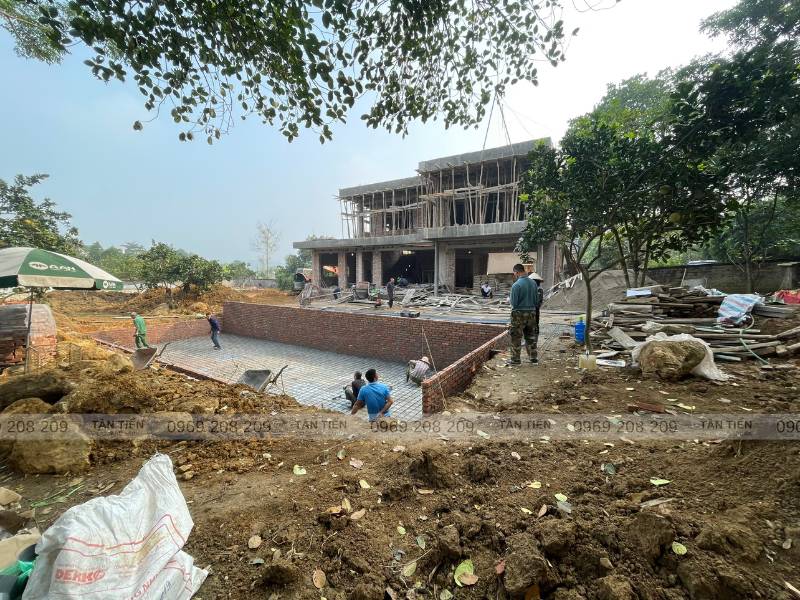 Đan sắt định hình bể bơi