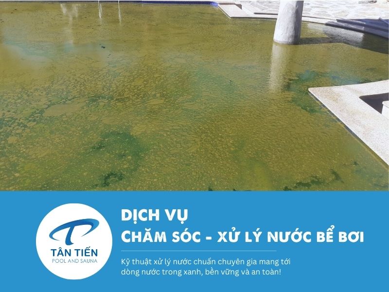 Dịch vụ chăm sóc xử lý nước bể bơi chuyên nghiệp 