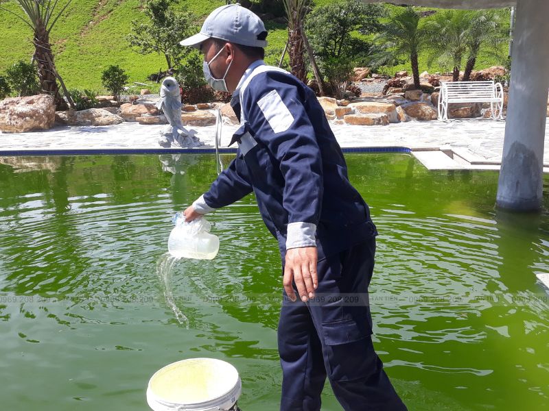 Dịch vụ xử lý nước bể bơi chuyên nghiệp - Tân Tiến Pool