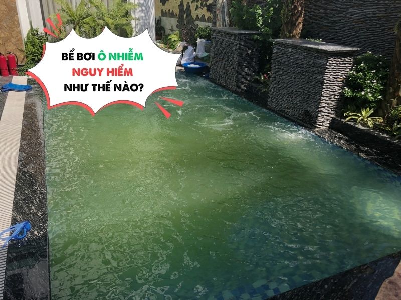 Bể bơi bị nhiễm rêu tảo chuyển màu xanh rêu