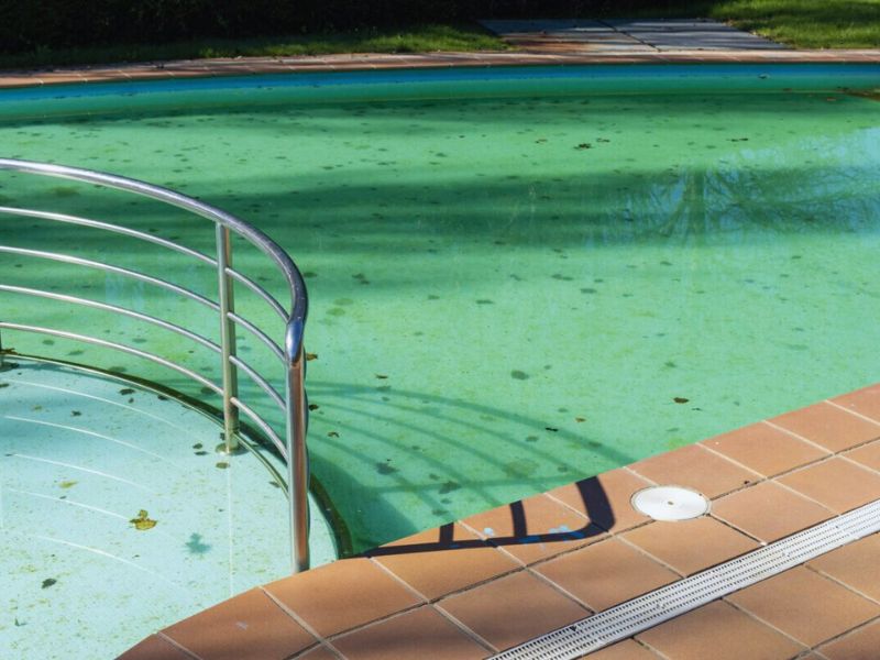 Dịch vụ chăm sóc và xử lý nước bể bơi - Tân Tiến Pool