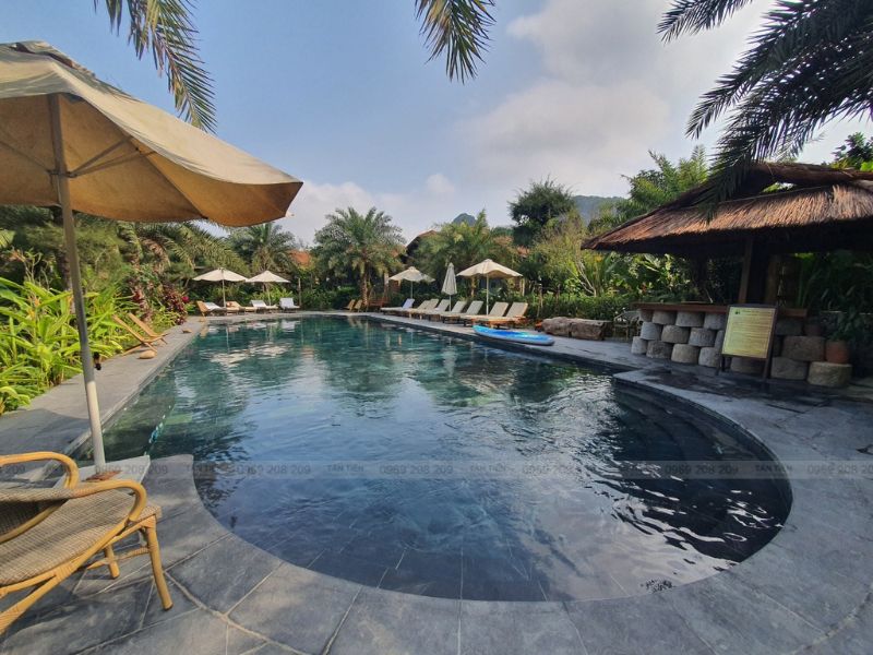 thiết kế bể bơi kinh doanh - Tân Tiến Pool