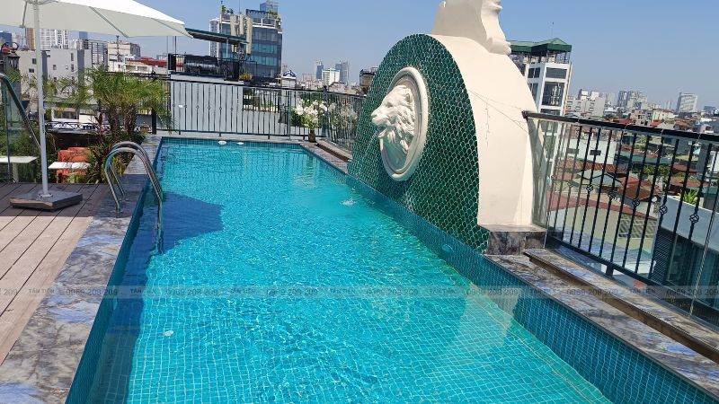 Thi công bể bơi chuyên nghiệp - Tân Tiến Pool