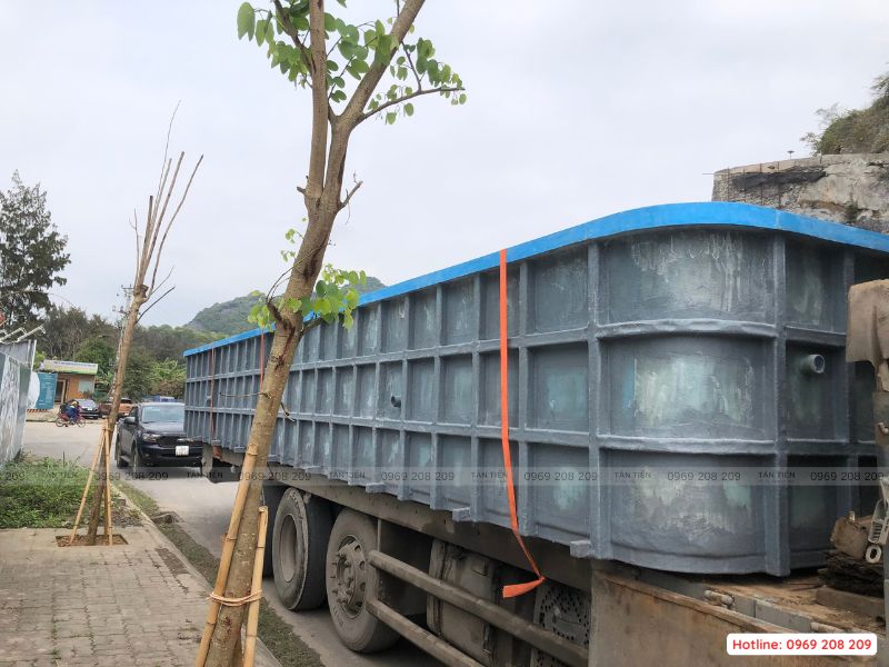 Thi công bể bơi trường học - Tân Tiến Pool