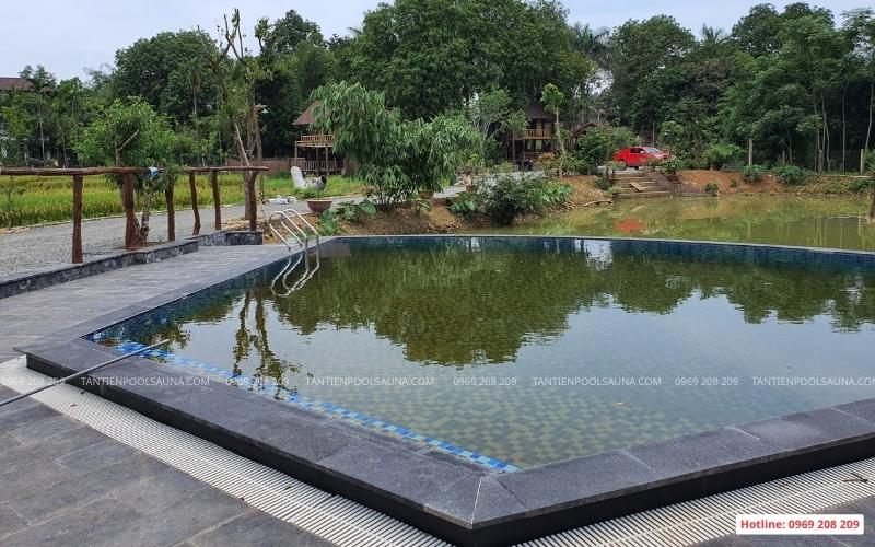 Xử lý nước bể bơi bị nhiễm rêu tảo nặng