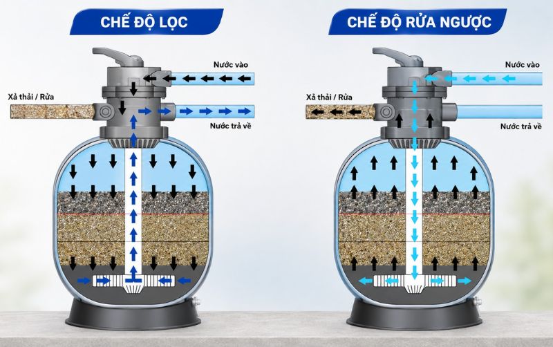 Sơ đồ chế độ lọc và rửa ngược của bình lọc