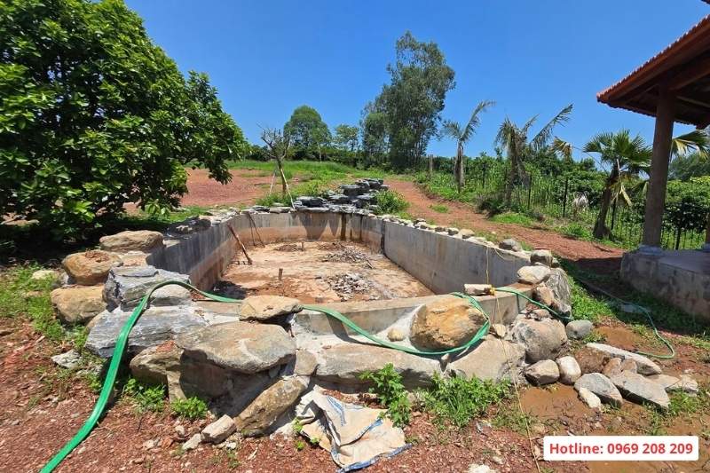 Cải tạo hồ cá Koi thành bể bơi: Những vấn đề kỹ thuật cần lưu ý Khảo sát cải tạo bể cá koi tại Bắc Giang