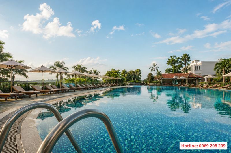 Bể bơi kinh doanh nghỉ dưỡng cao cấp