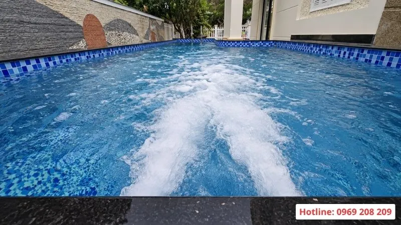 2 đầu bơi ngược dòng khoẻ khoắn