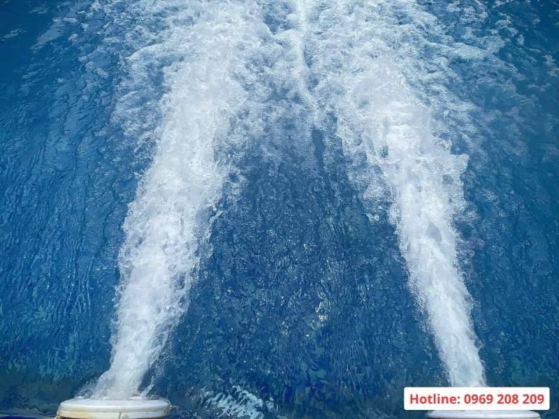 Đầu bơi ngược dòng China Đầu bơi ngược dòng tạo sóng siêu khoẻ